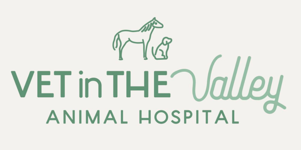 Workplace Walk-In @ Vet in the Valley