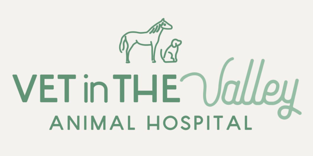 Workplace Walk-In @ Vet in the Valley